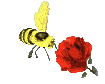 abeille rose anim&eacute;